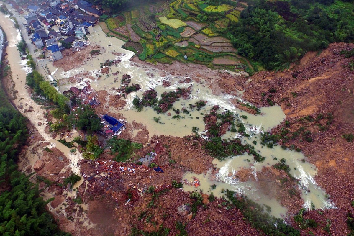 Поползень Перелетная