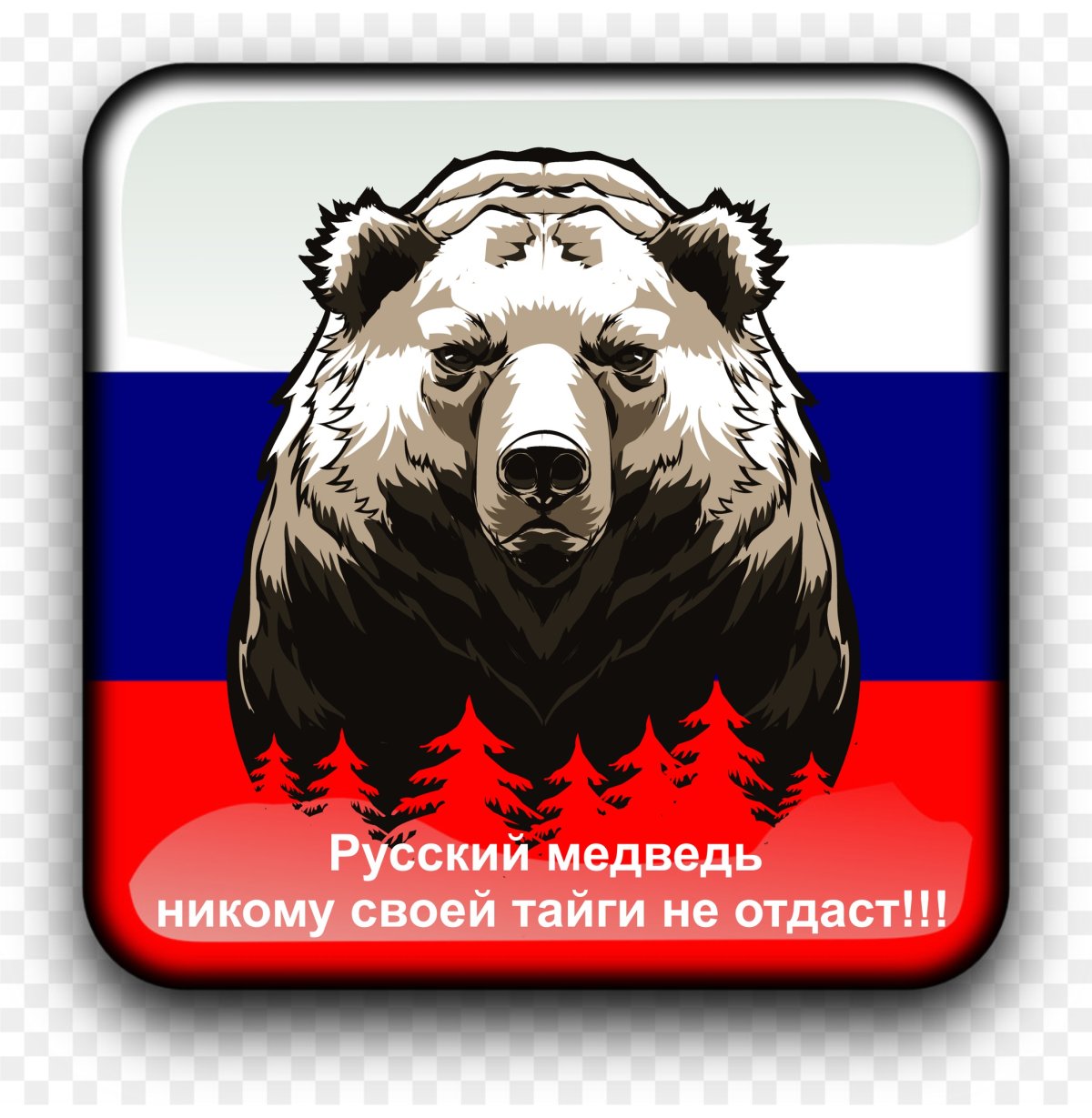 Медведь за Россию
