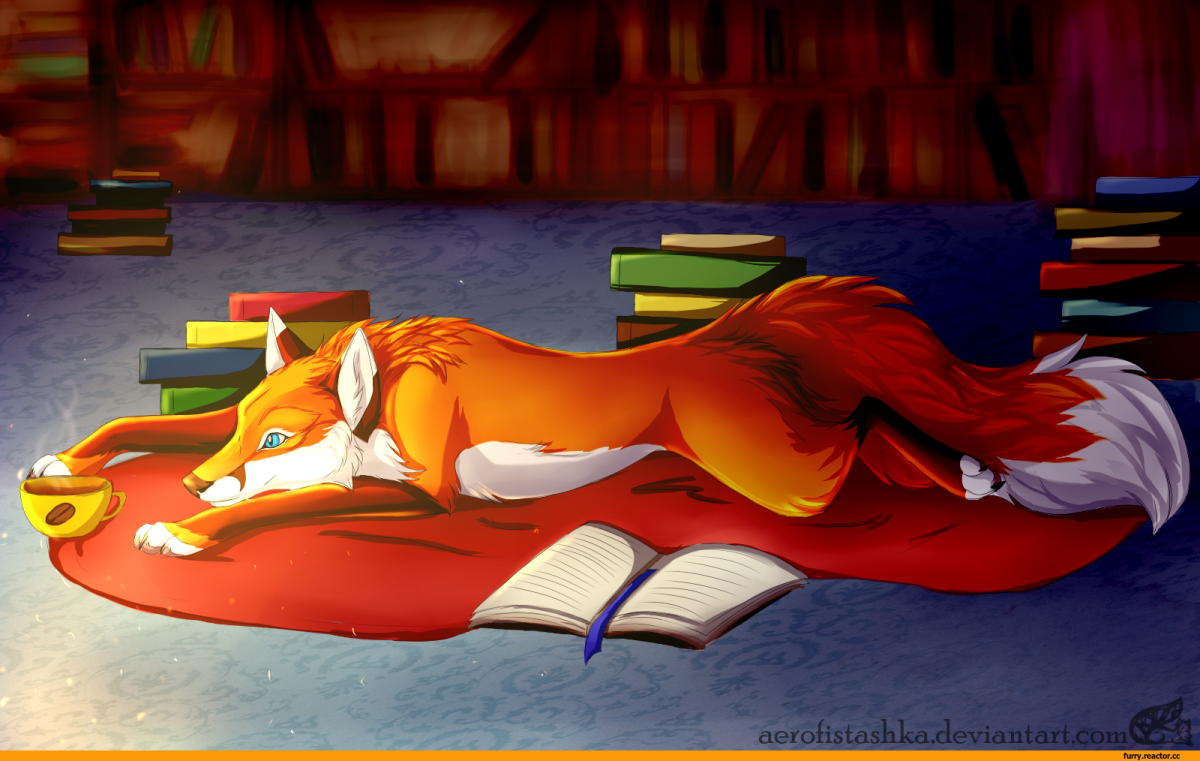 Read foxes. Книги про Лис. Лисичка с книжкой. Фурри Лисичка. Лиса с книгой.
