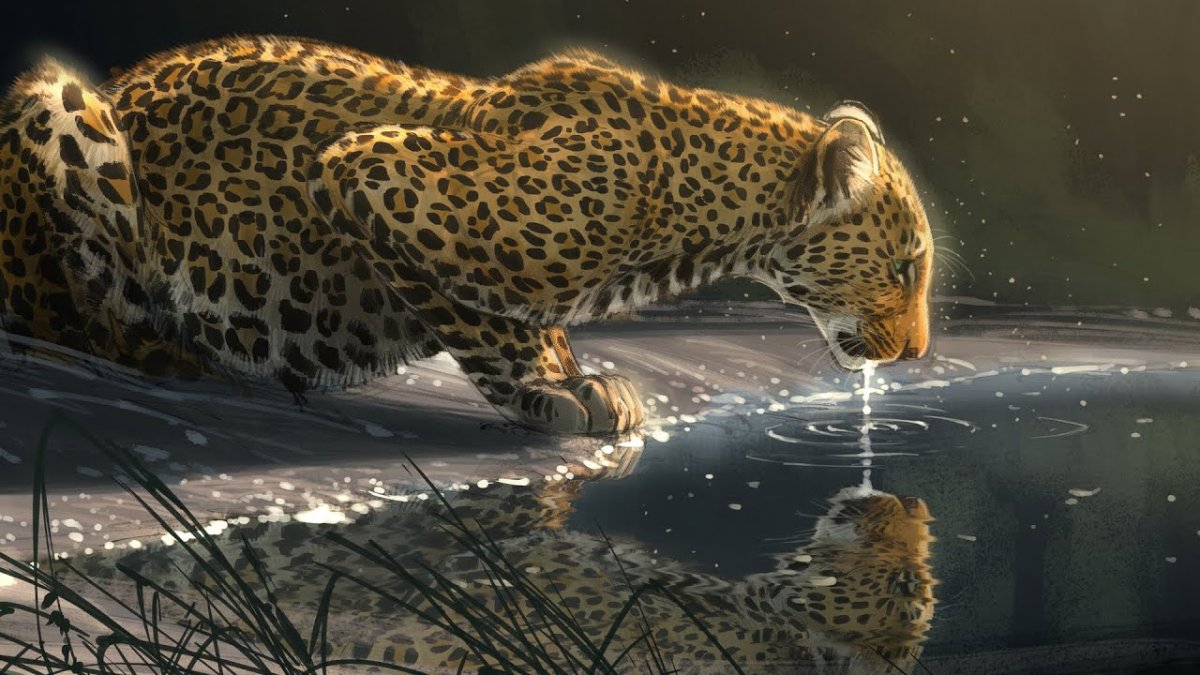 Леопард арт