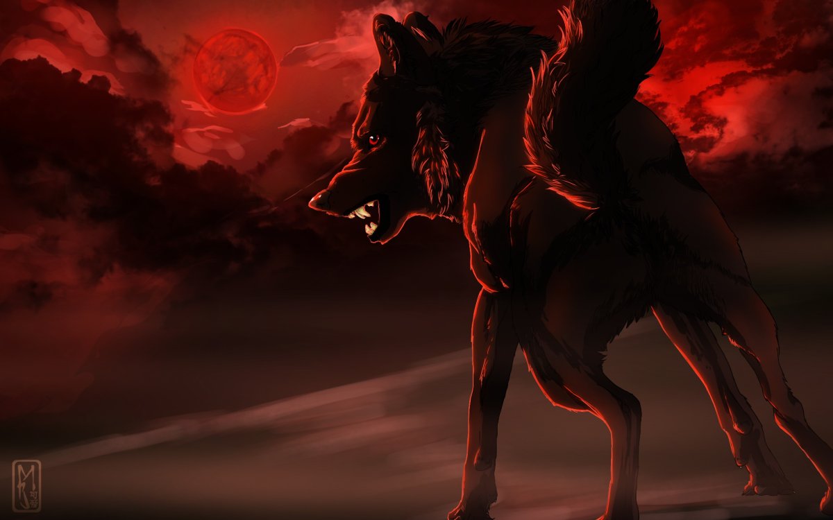 Черный волк с красными глазами