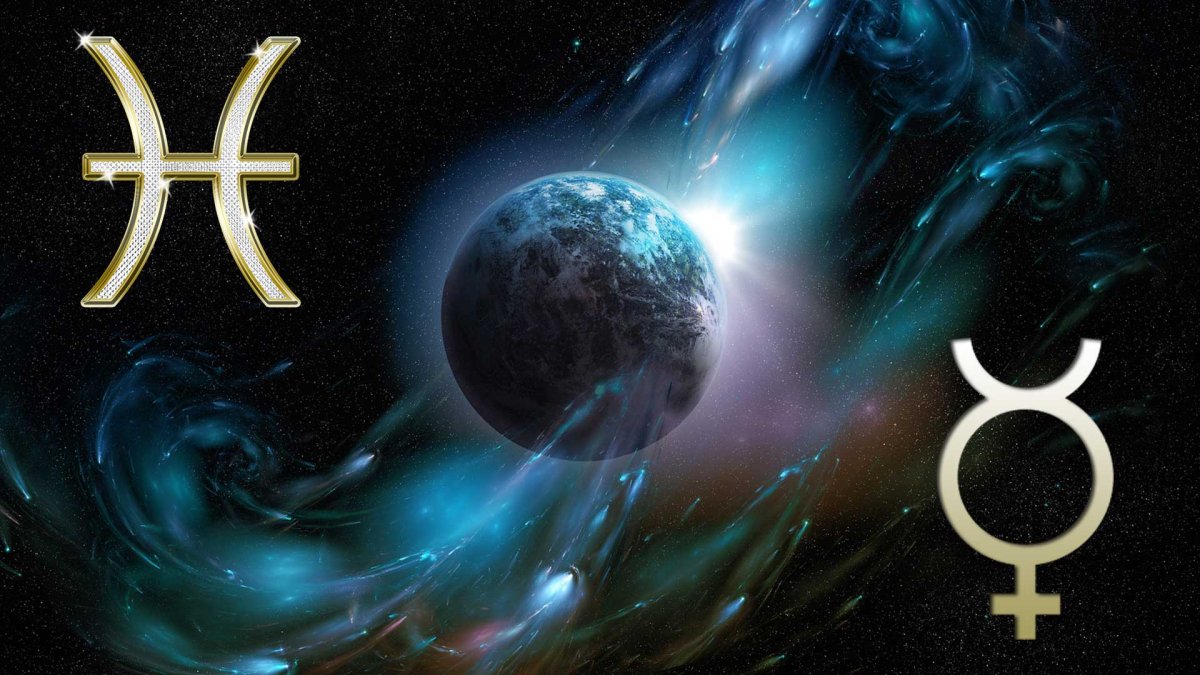 Неоновые рыбы