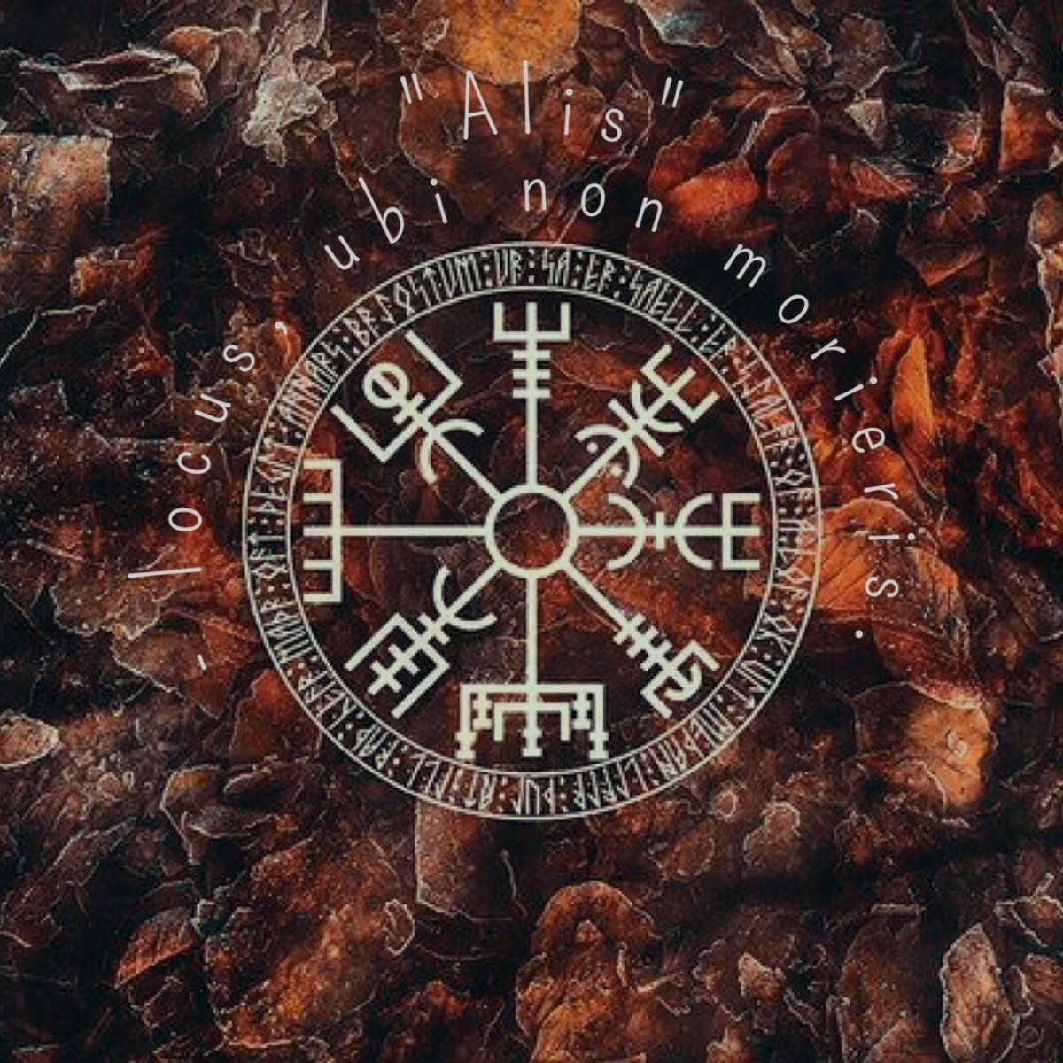 Вегвизир обои на телефон