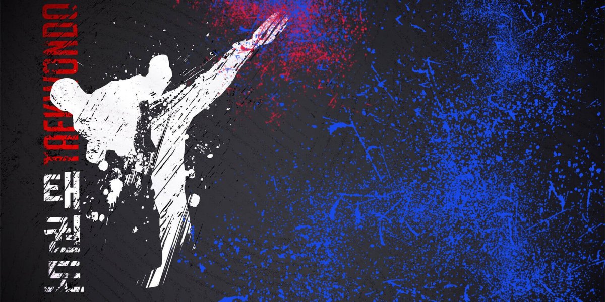 Каратист киокушинкай силуэт