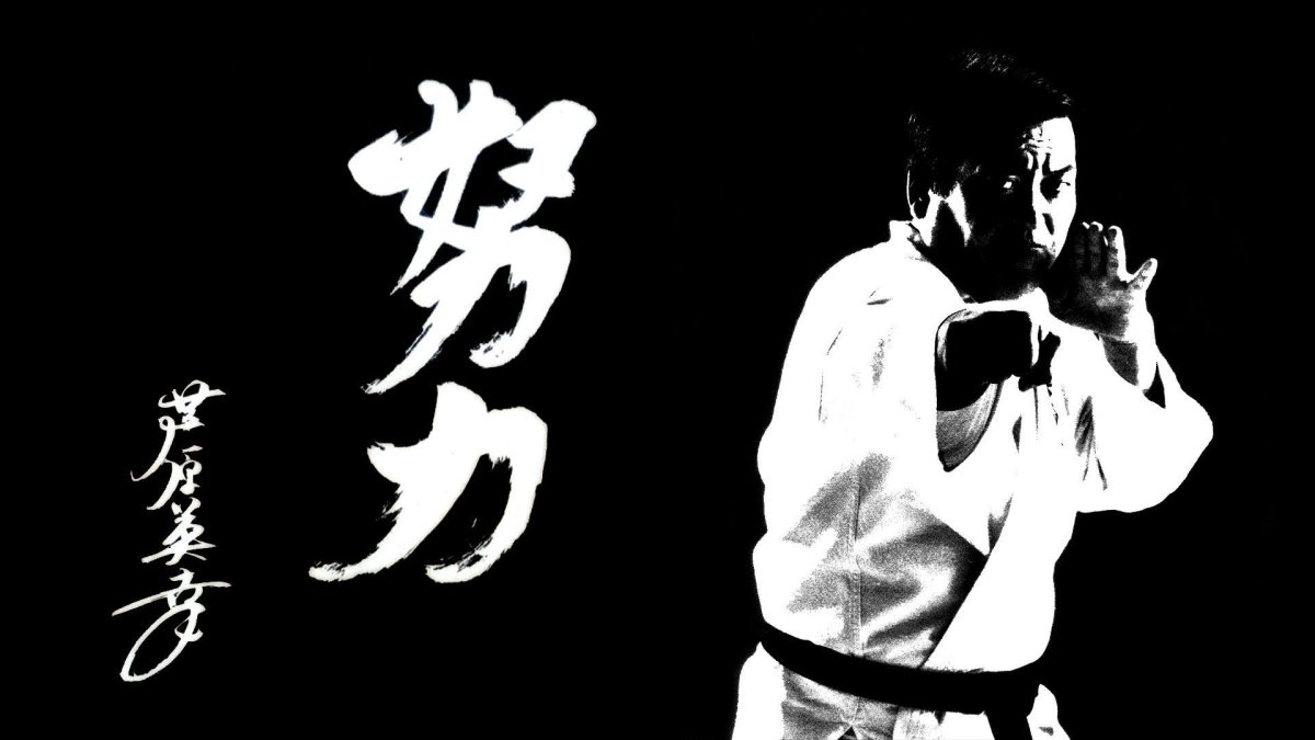 Баннер каратэ