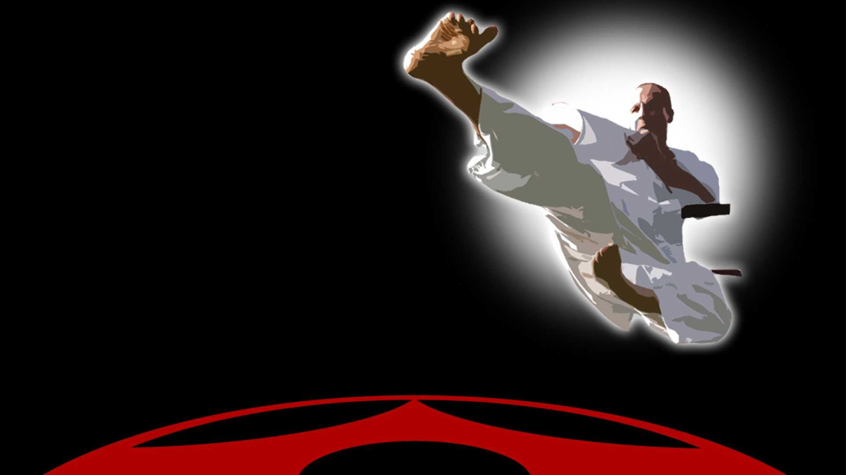 Карате заставка