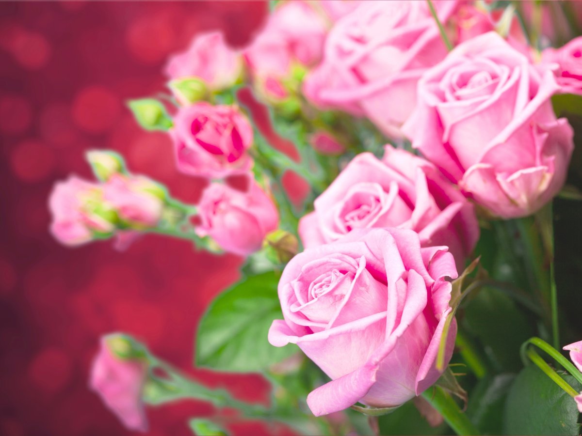 3д картинки на рабочий стол цветы