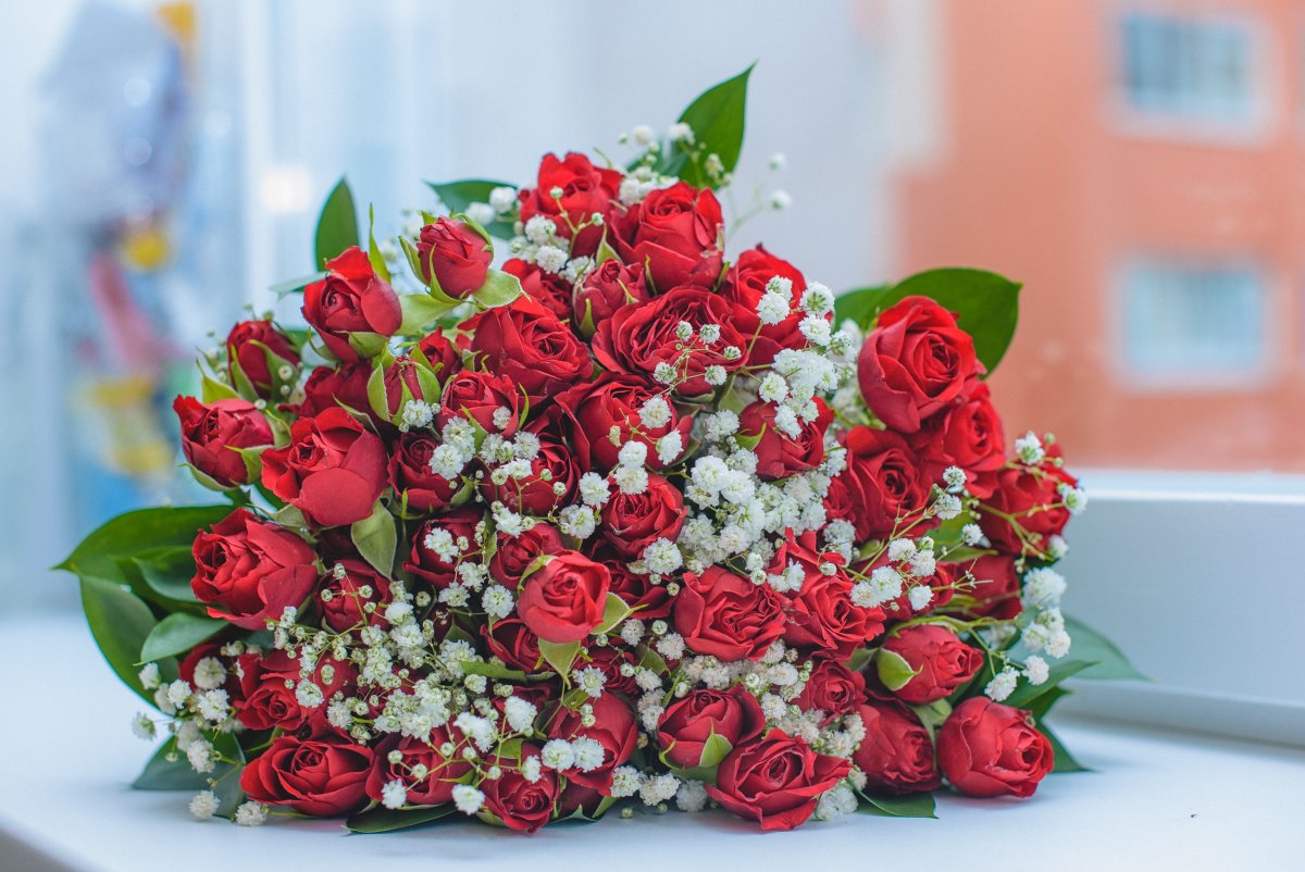 Фон розы бабочки