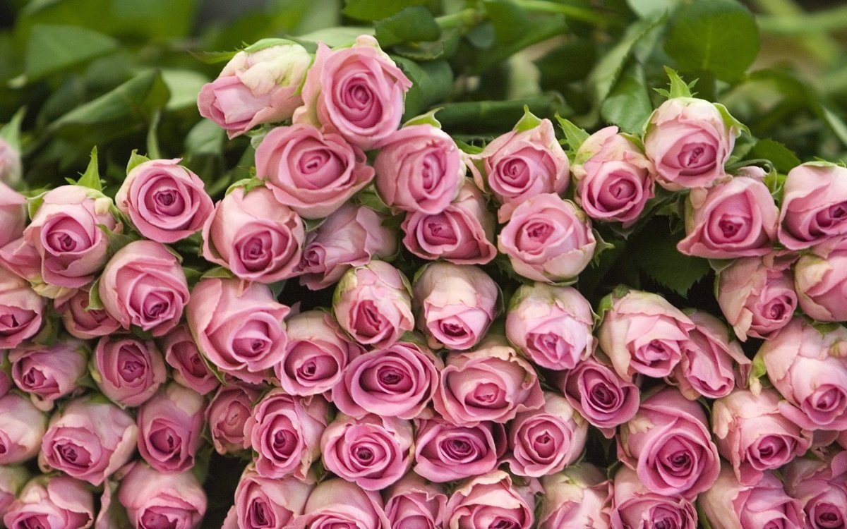 Красивые красные букеты цветов