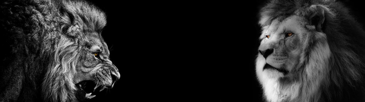 Темная заставка