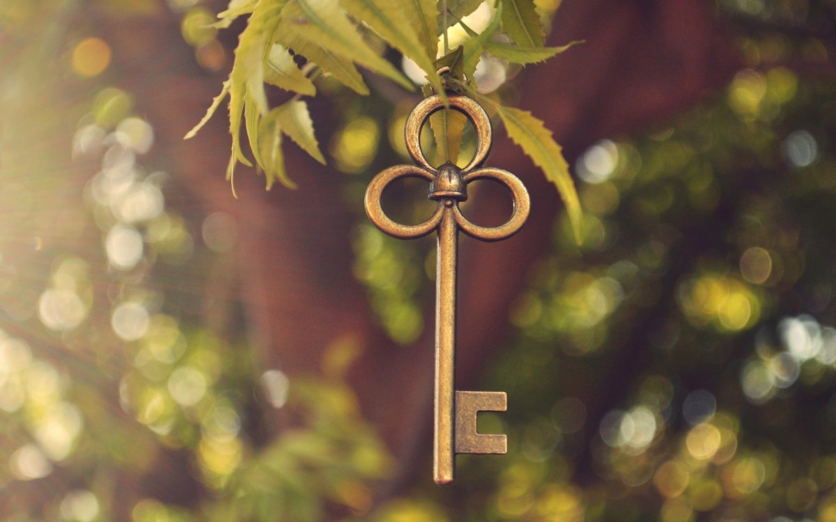 Зеленый Клевер четырехлистный