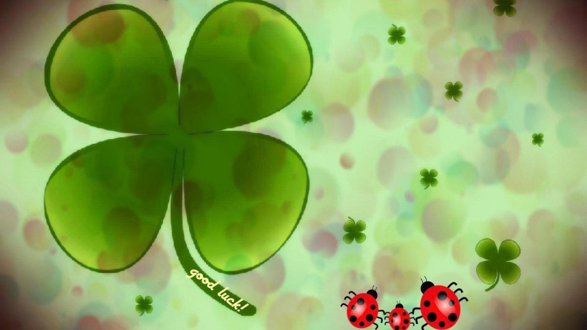Клевер четырехлистный good luck