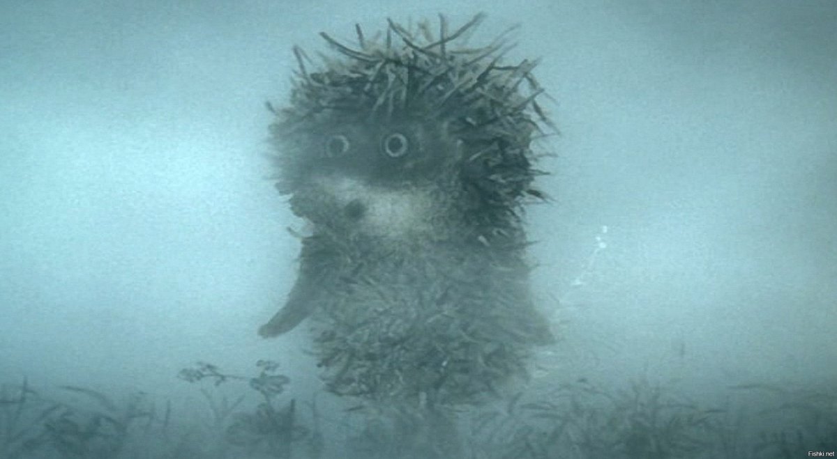 Ёжик в тумане угу Сова