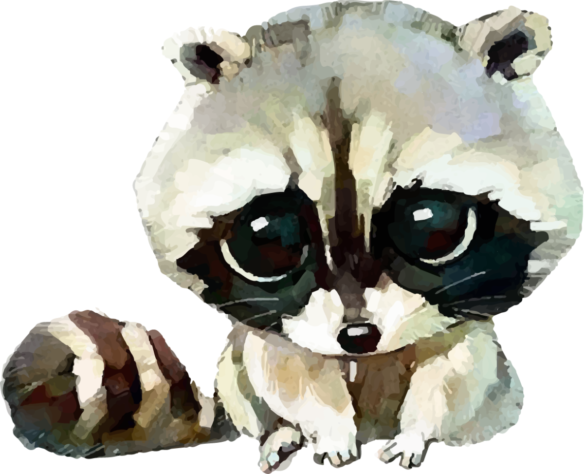 Енот арт обои