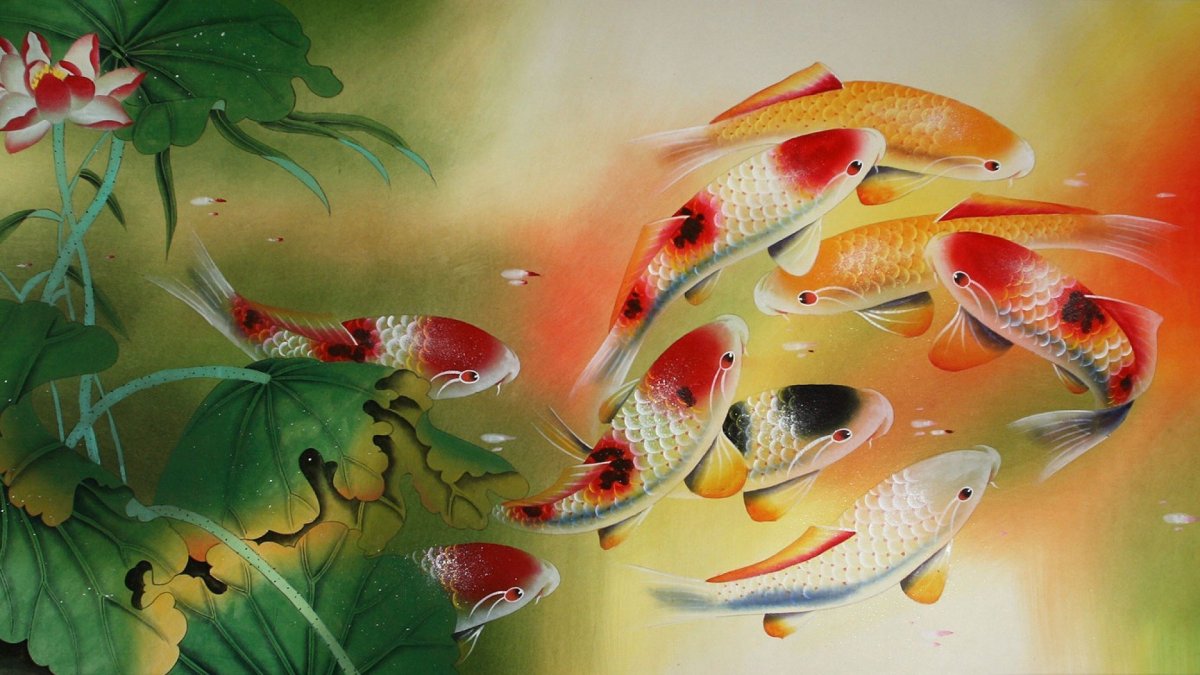 Девять Карпов фен шуй