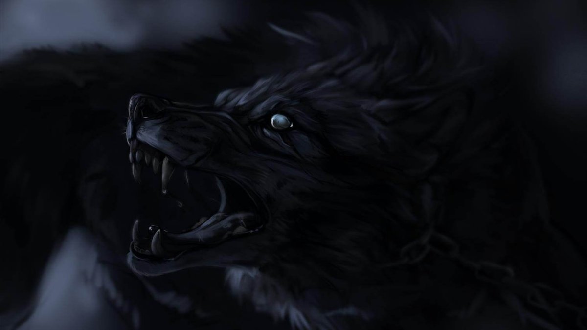Волк черный злой