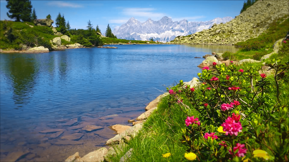 Релаксация природа