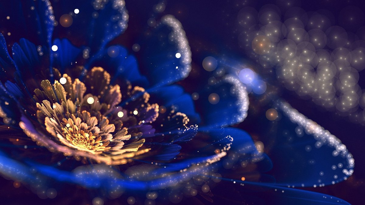 Фрактальные цветы сильвии Кордедда