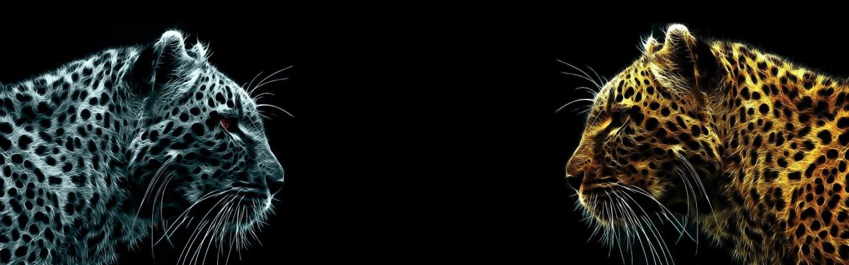 Обои на 2 монитора