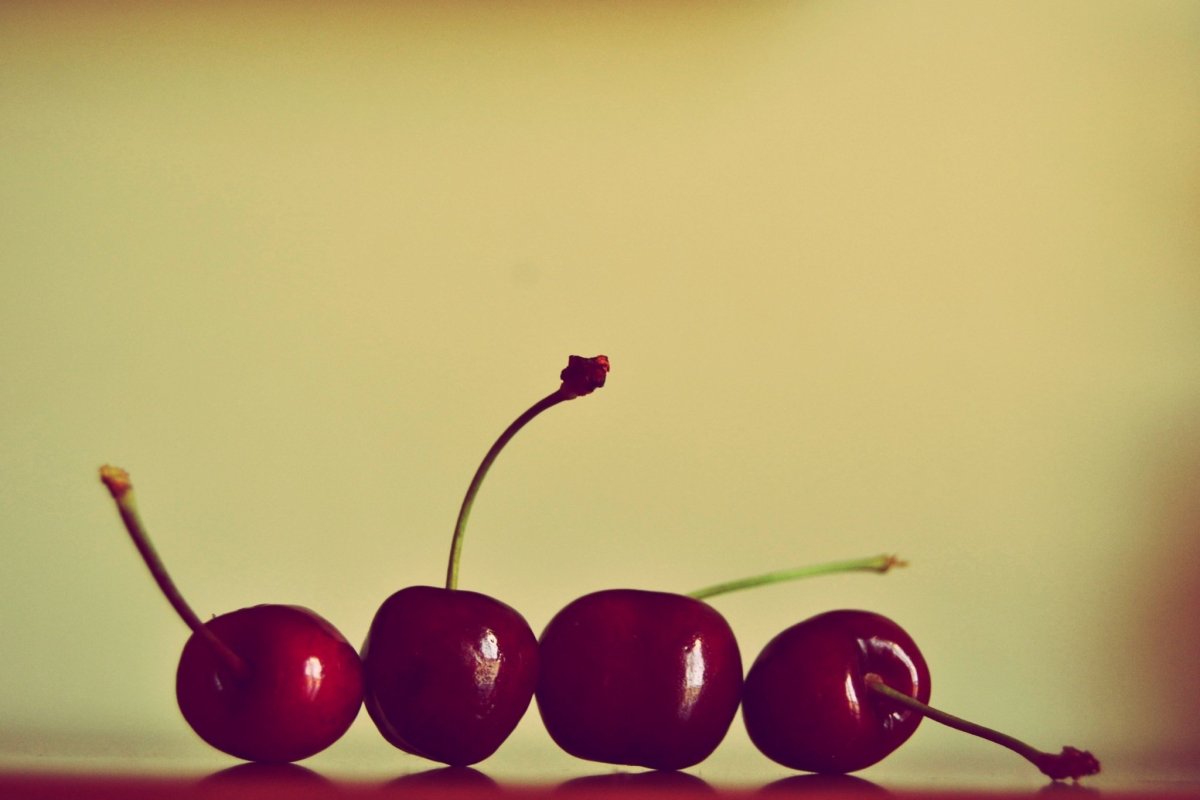 Вишня Эстетика