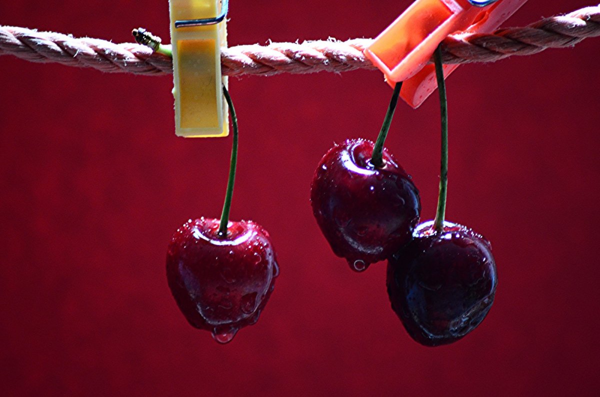 Вишня Эстетика