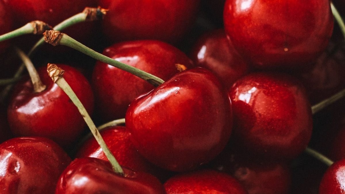 Вишня "Red Cherry"