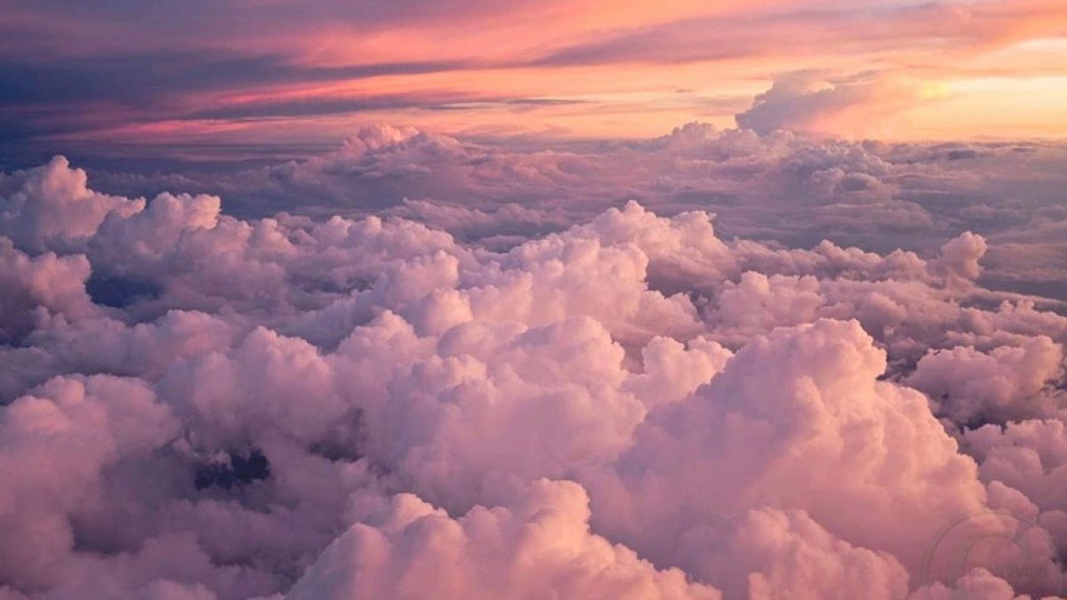 Розовое облако