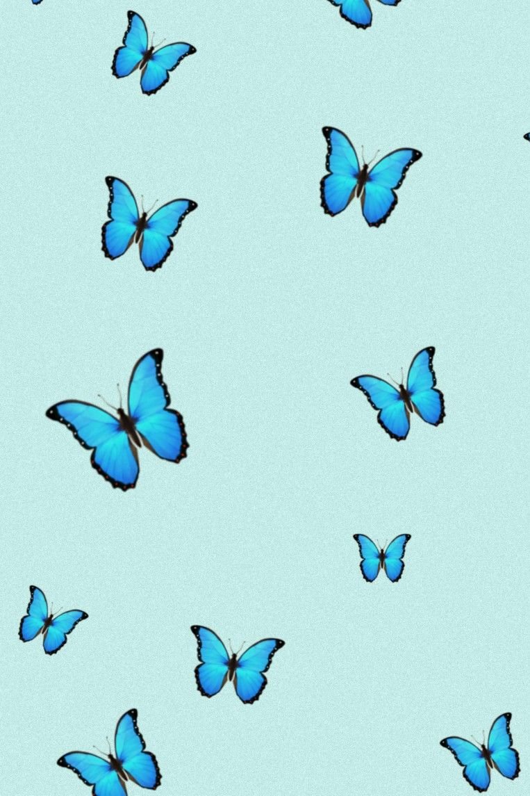 Голубые обои на телефон с бабочками