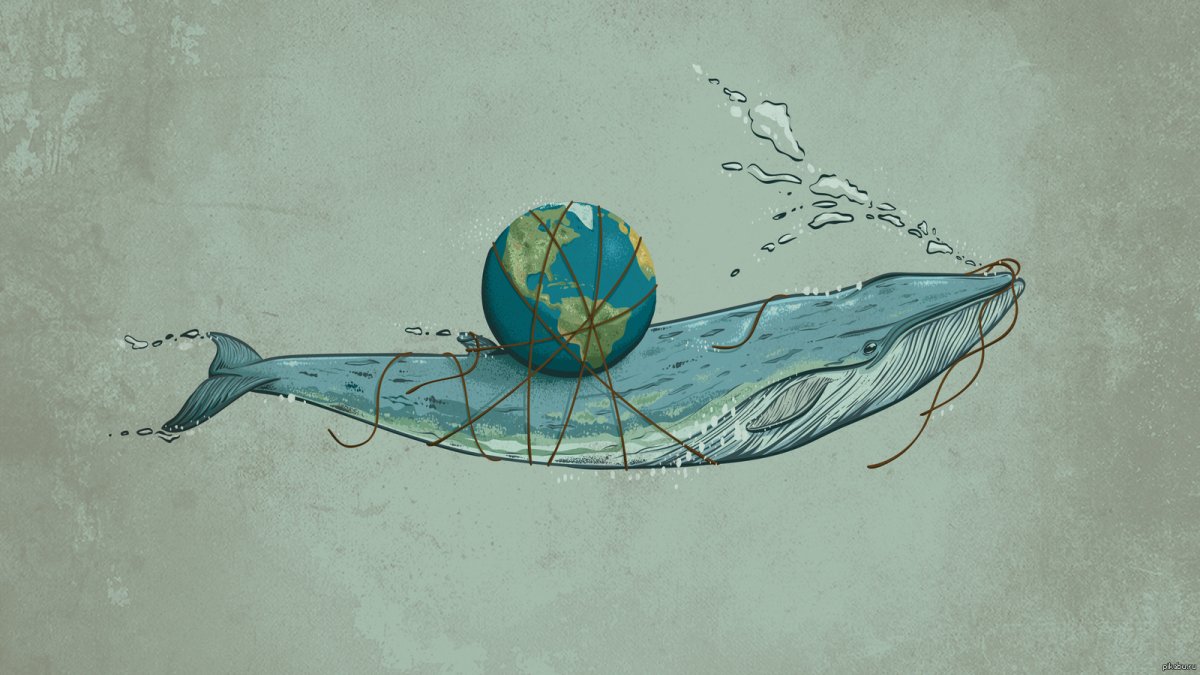 Кит абстракция