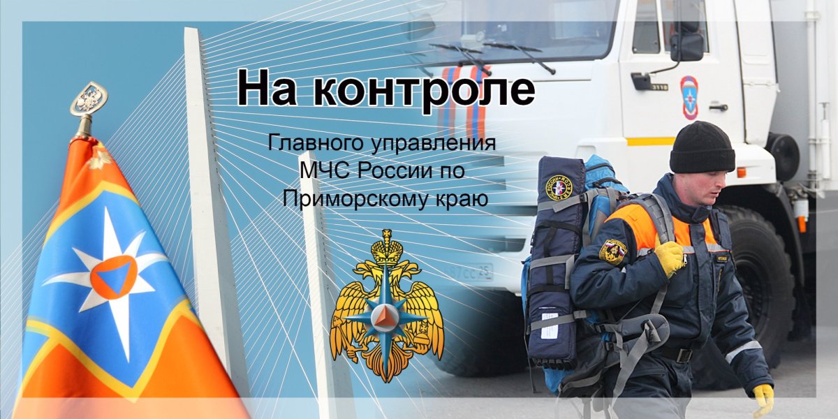 Визитка МЧС России