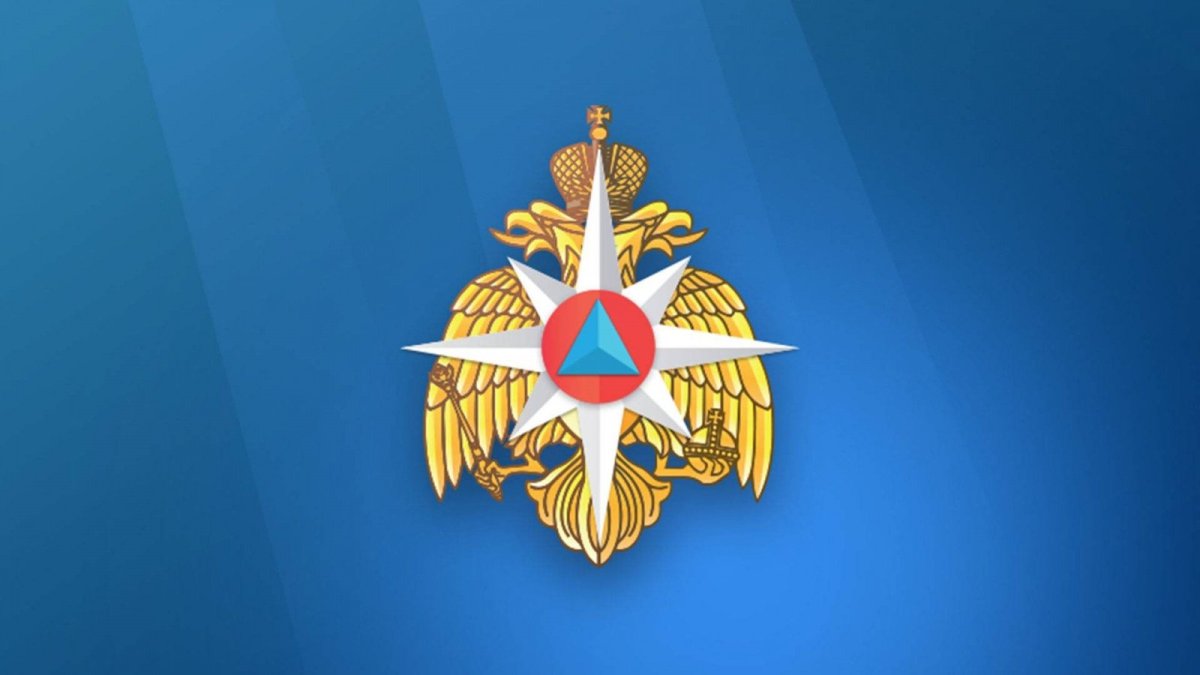 Министерство по чрезвычайным ситуациям (МЧС России)