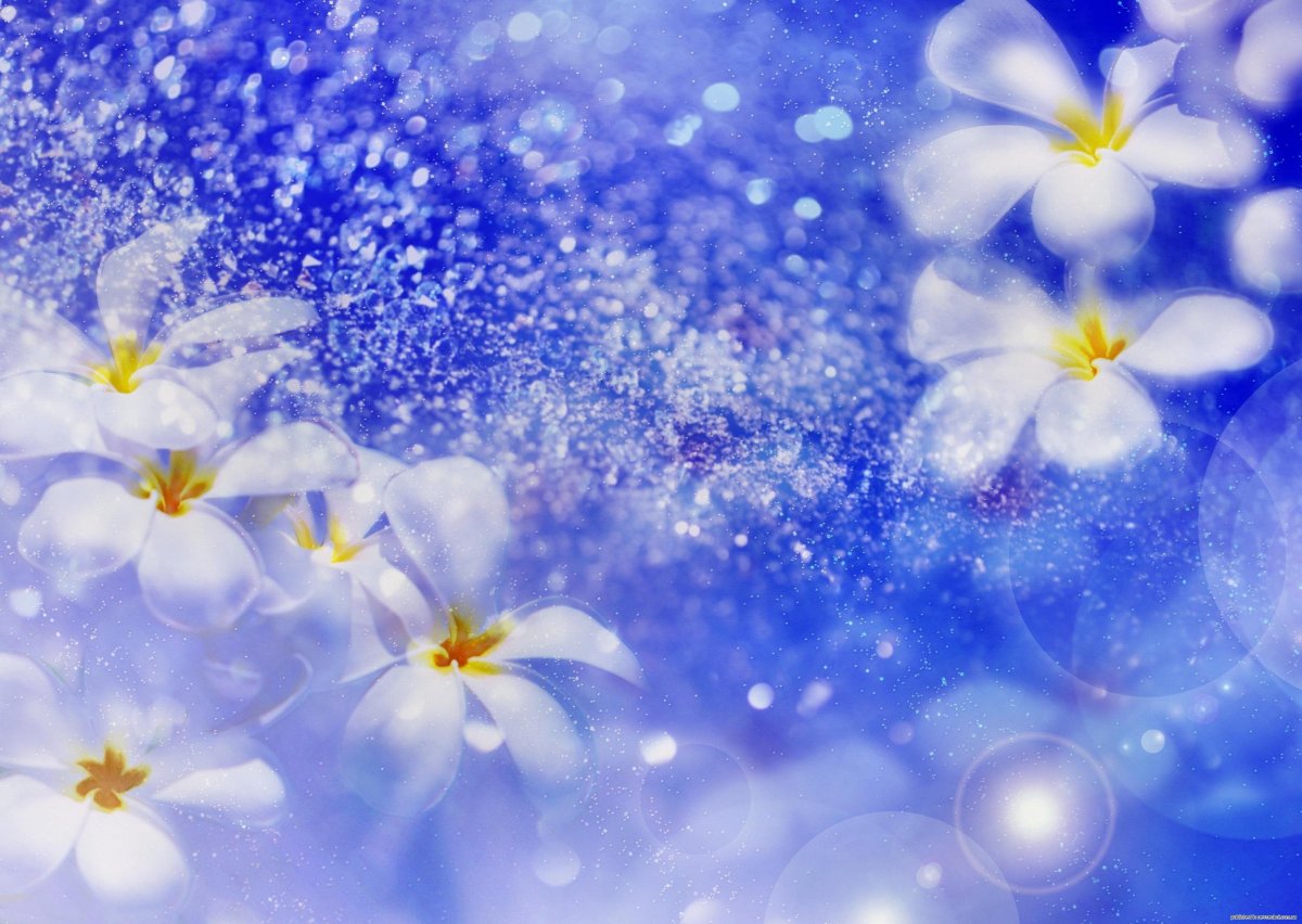 Нежно голубой фон