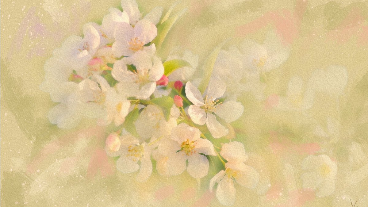 Нежный цветок