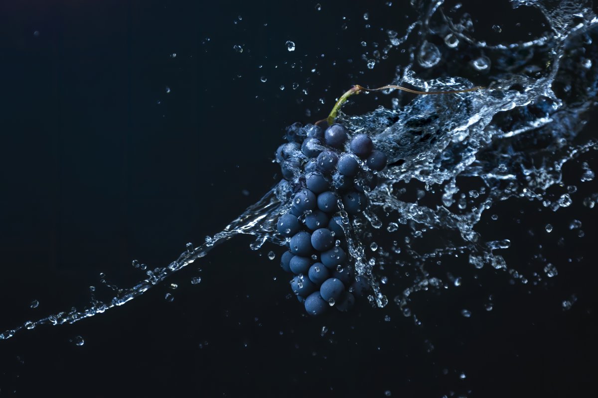 Бобки винограда на темном фоне