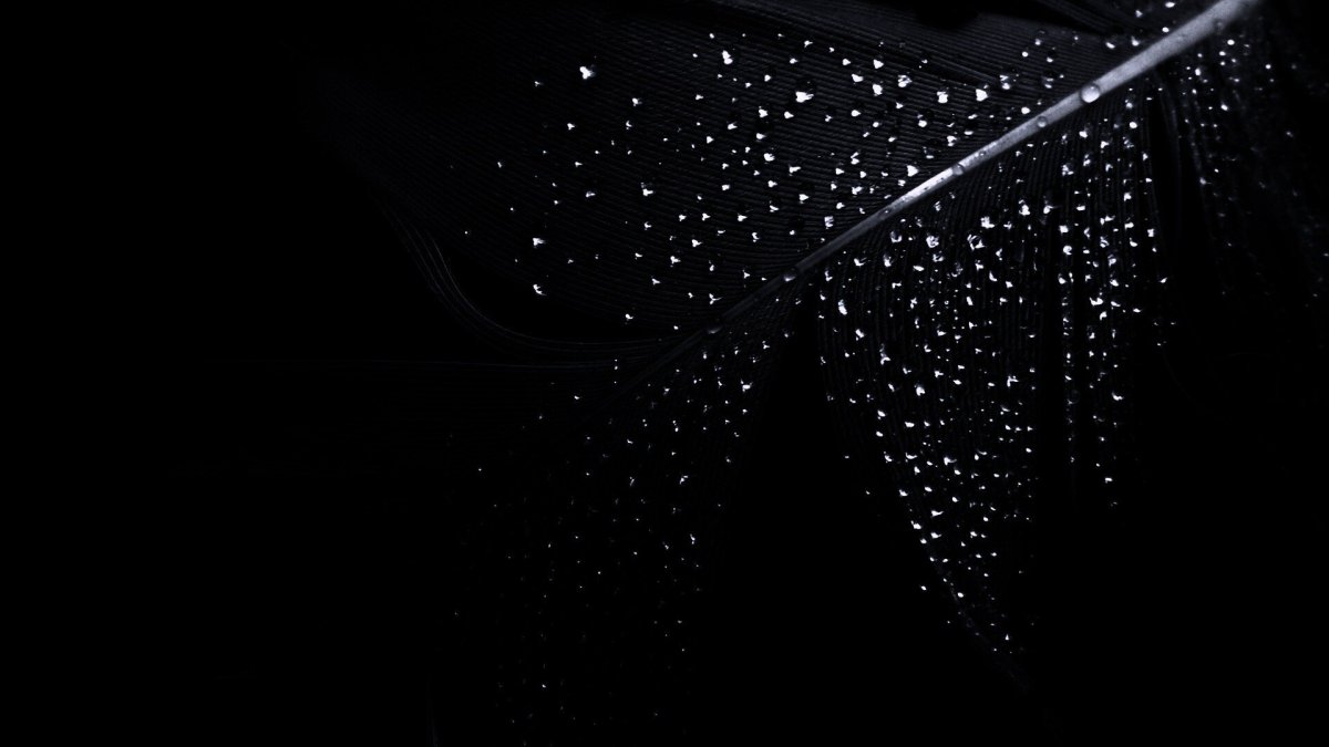 Черный фон на рабочий стол 1366х768