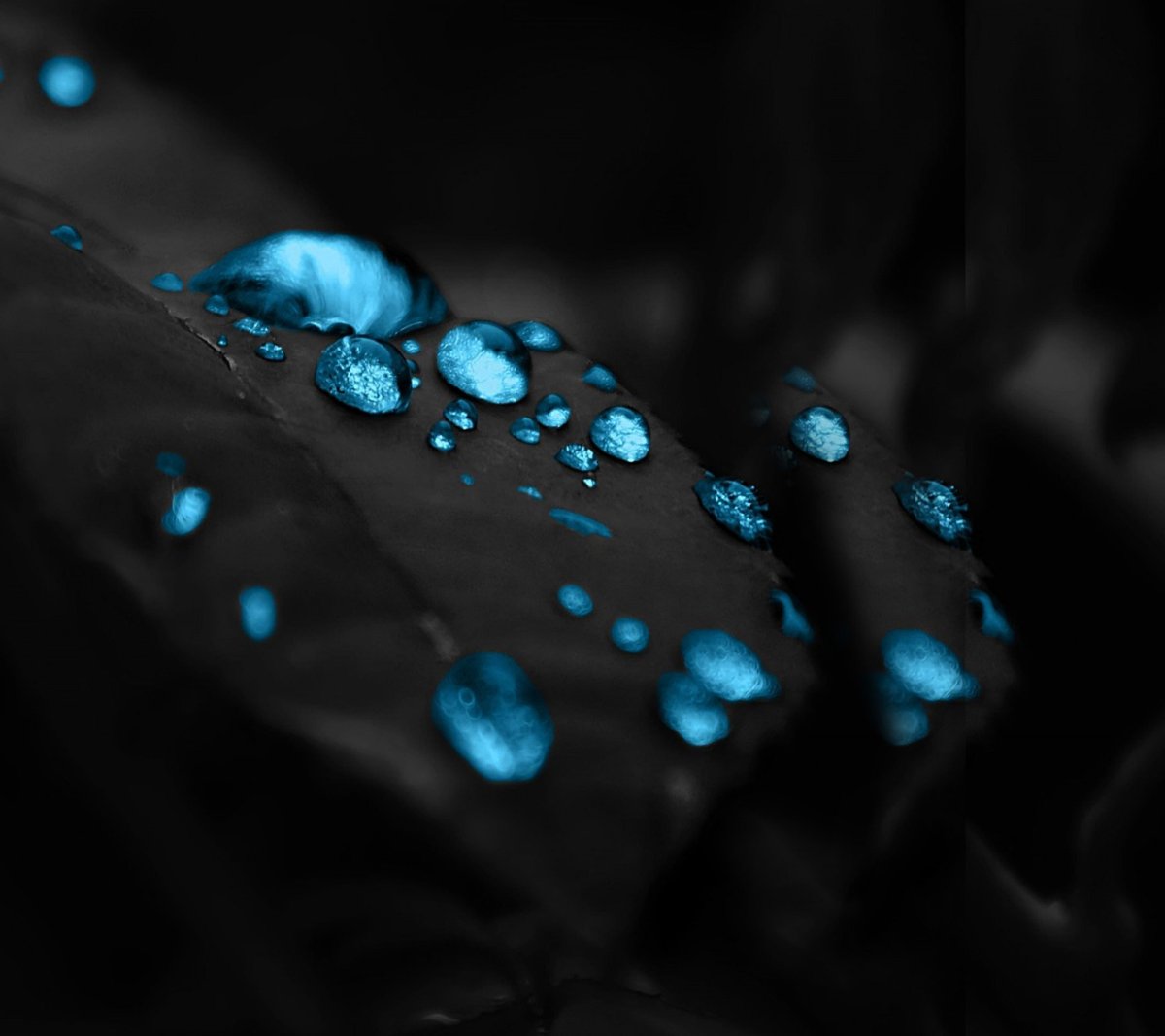 Бирюзовый фон