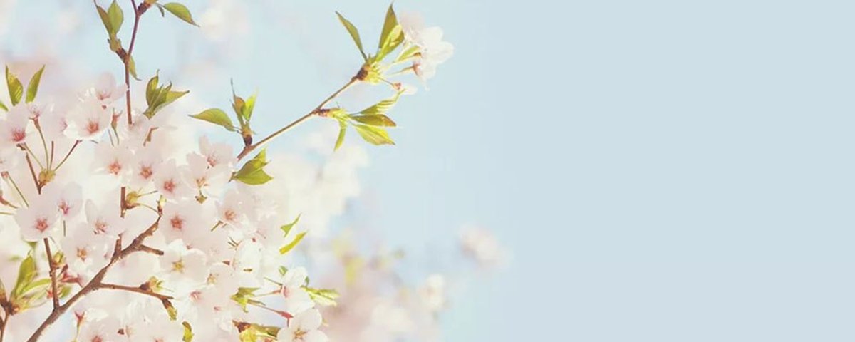 Весенний фон