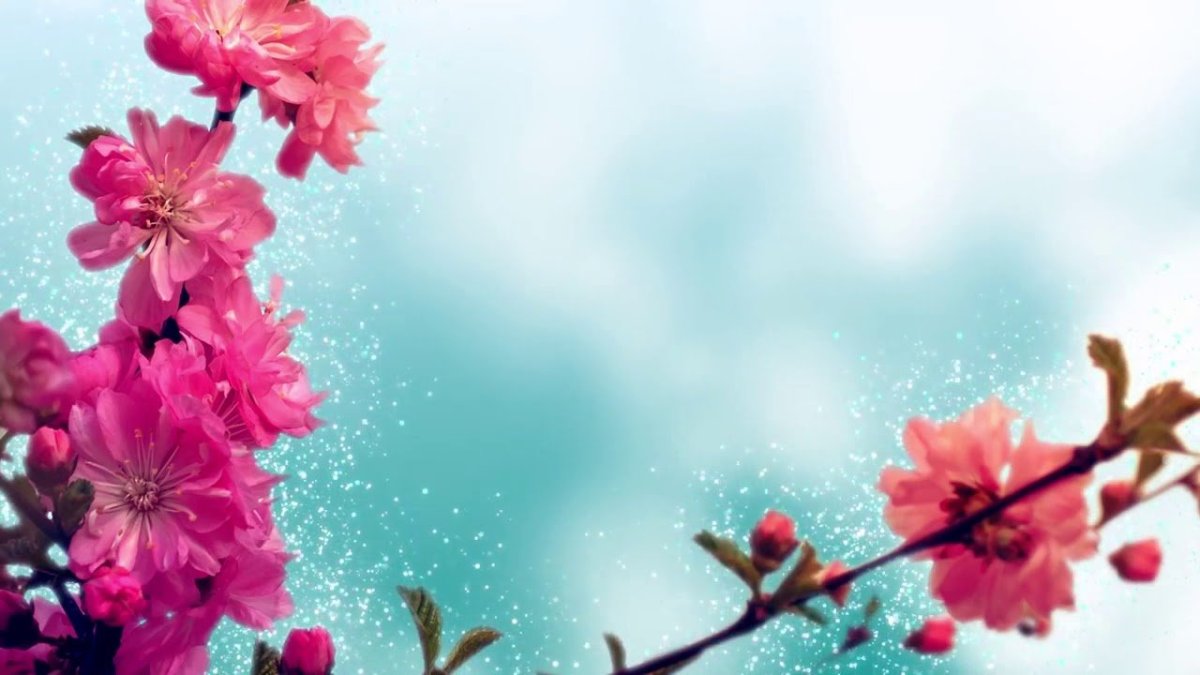 Весенний фон для презентации