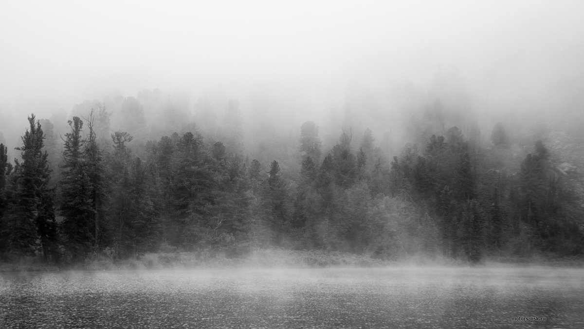 Серый туман