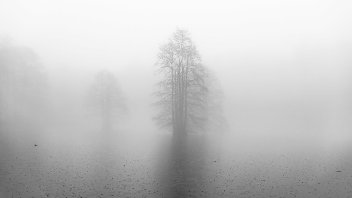 Дождь туман