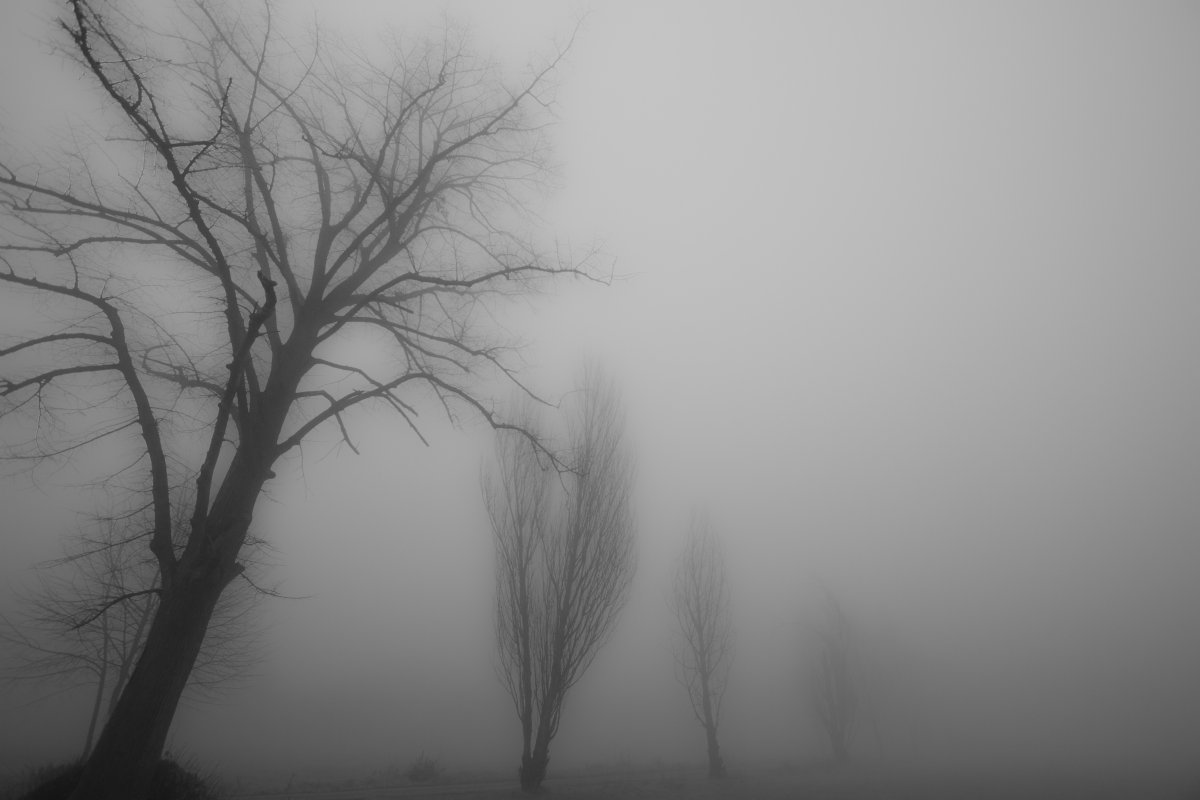 Черный туман