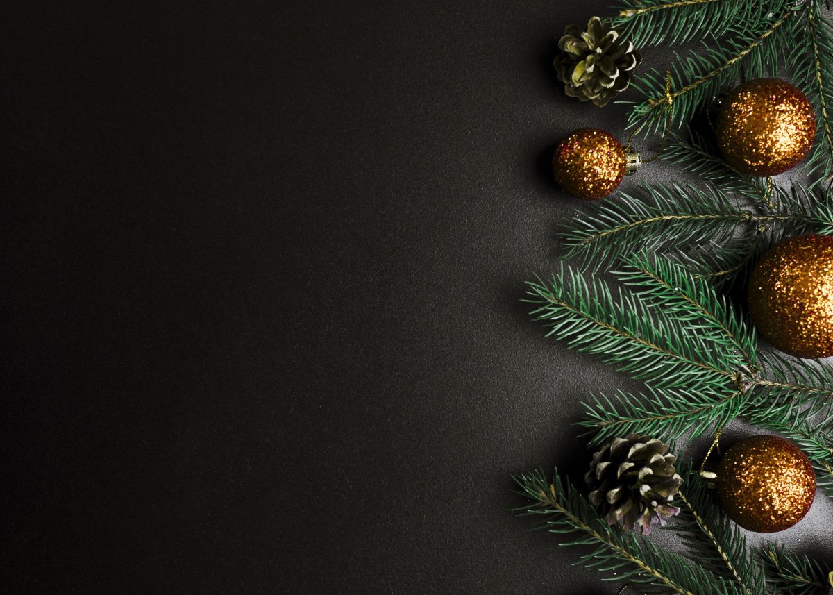 Елочная ветка