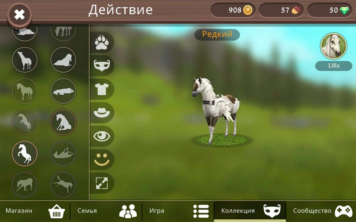 Вайлд крафт