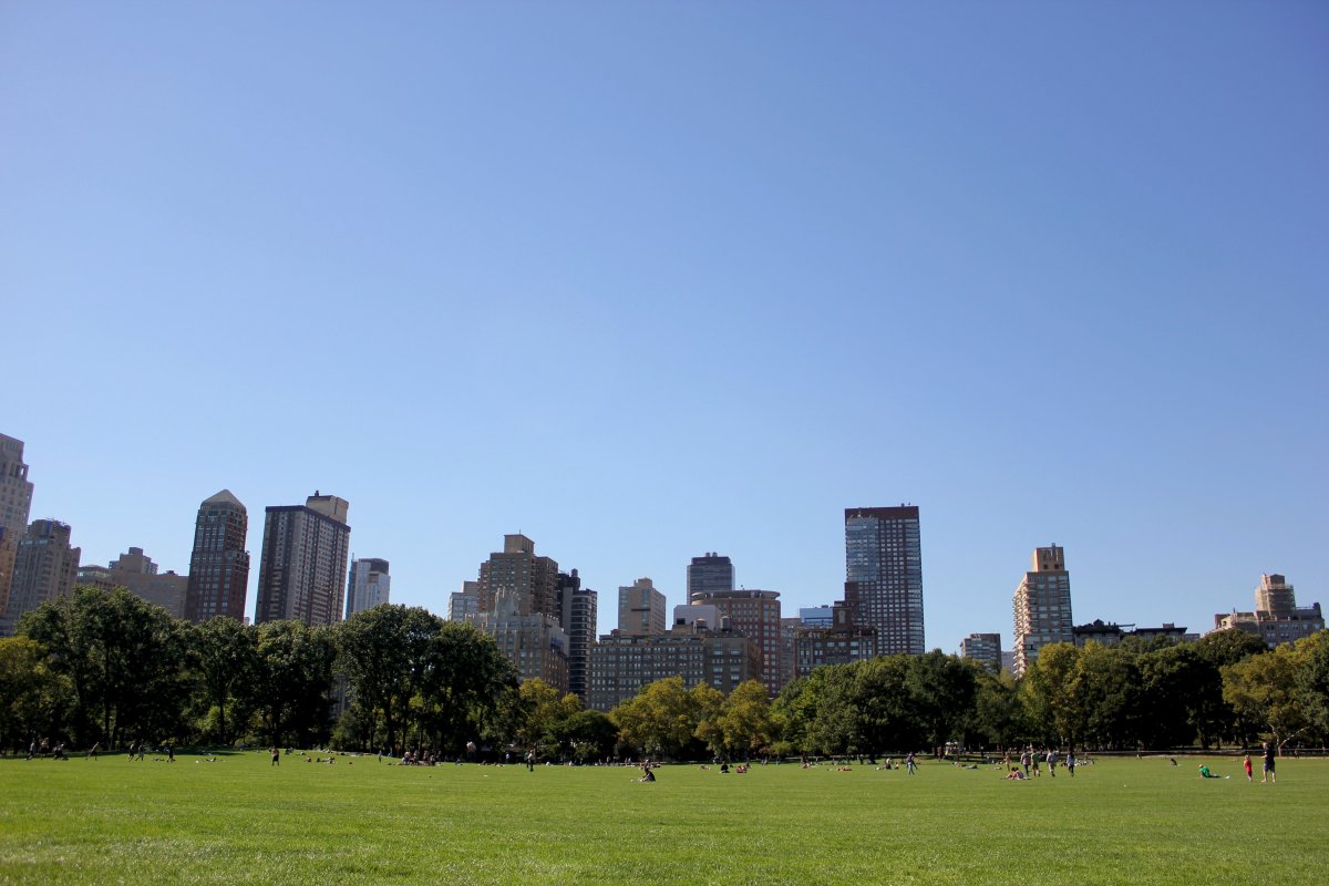 Центральный парк Нью-Йорк