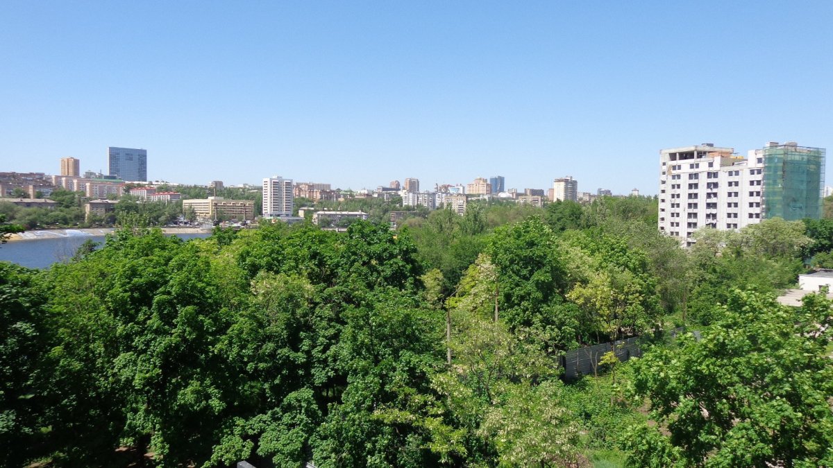 Вид из окна на парк