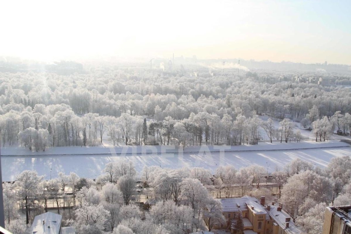 Зимний вид из окна