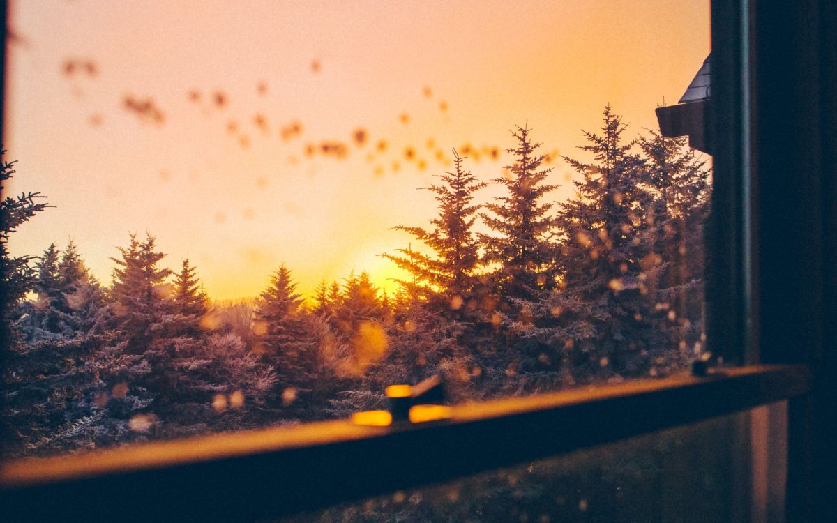 Красивый вид из окна