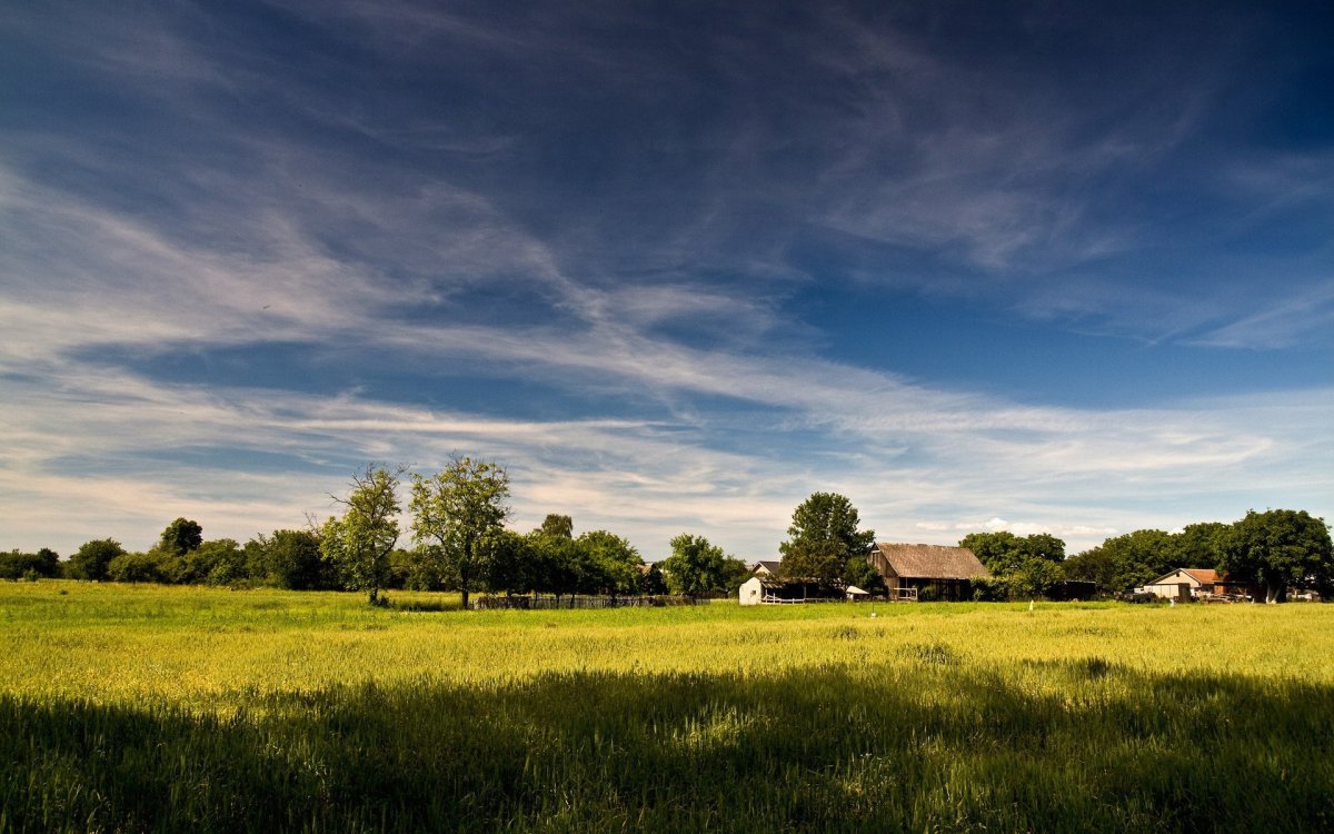 Фон деревня