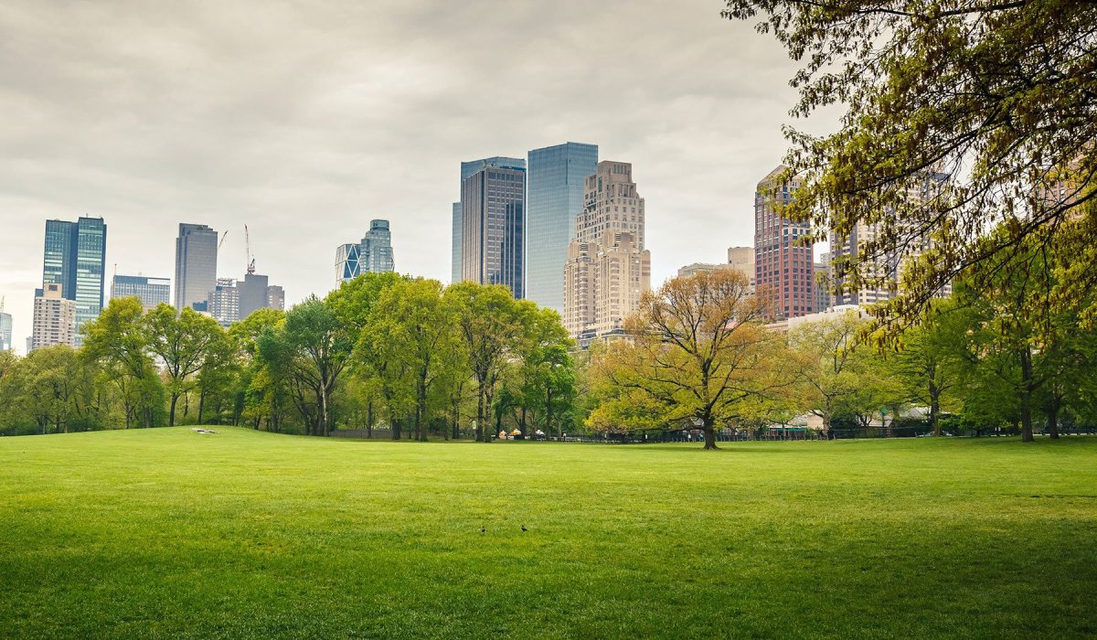 Панорама города для 3d Max