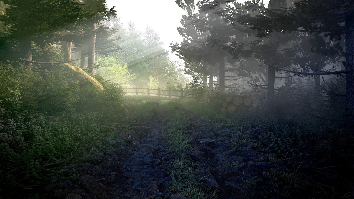 Реалистичный фон леса